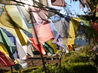 Prayer flags add so much colour to the landscape