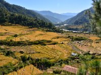 Punakha Valley on the way to Khamsum Yuley Chorten