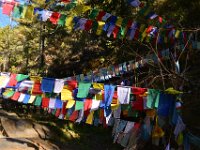 prayer flags above Bumthang