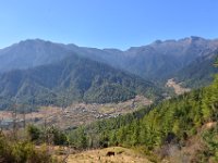 Valley south of Thimphu