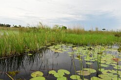 DSC_8887 very close to the water