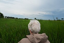 DSC_8888 lush greens everywhere
