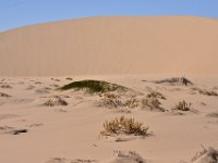 Hoanib - sand dunes on the way to Skeleton Coast
