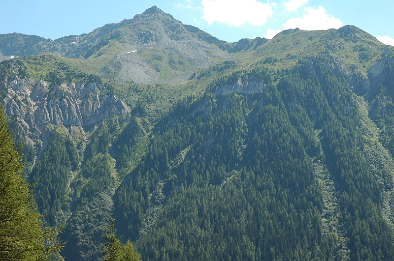 DSC_3391.JPG